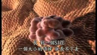 大腸癌如何發生，4分鐘影片帶你全面了解及預防！