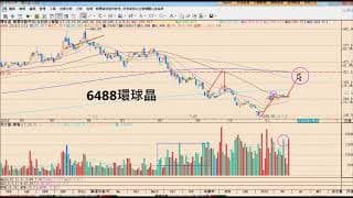 6488環球晶大漲的省思