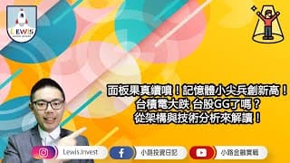 #小路投資日記 面板果真續噴！記憶體小尖兵創新高！
