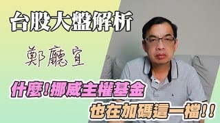 1140907【什麼❗️挪威主權基金也在加碼這一檔❗️❗️】