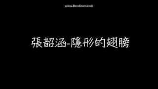 隱形的翅膀
