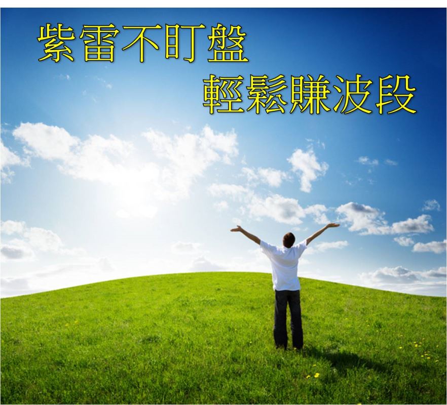 【紫雷新功能】：不盯盤也能七個月漲幅快4倍